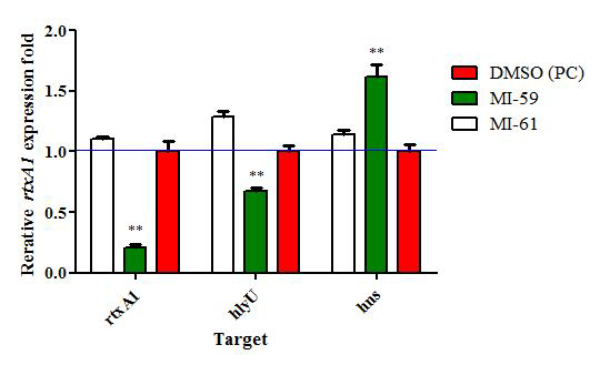 Effect of 7,8-Dihydroxyflavone treatment on rtxA1 expression in V. vulnificus CMCP6 were measured by quantitative reverse transcription-PCR (qRT-PCR). gyrA is housekeeping gene; regulation genes were hns and hlyU.