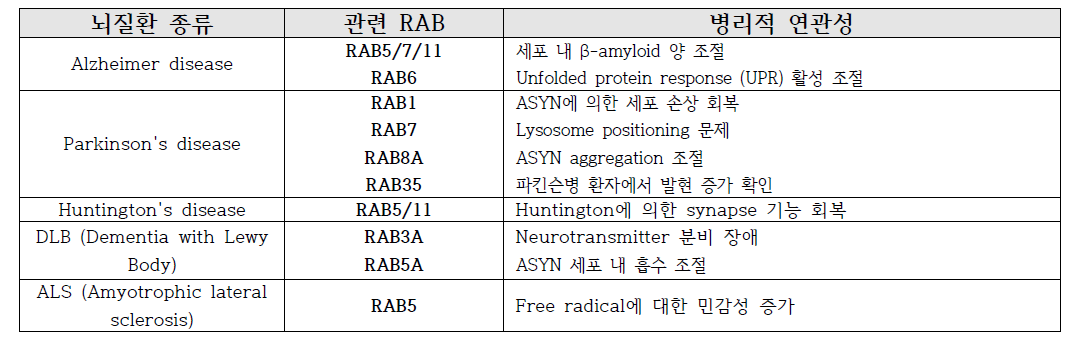 다양한 뇌질환과 RAB 단백질의 연관성