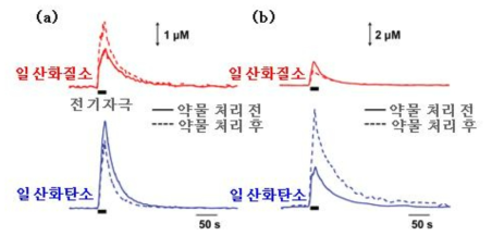 쥐 뇌에 일산화질소 합성 효소의 (a)억제제와 (b)기질을 처리한 후 전기 자극을 가했을 때 나타나는 일산화질소와 일산화탄소의 농도 변화