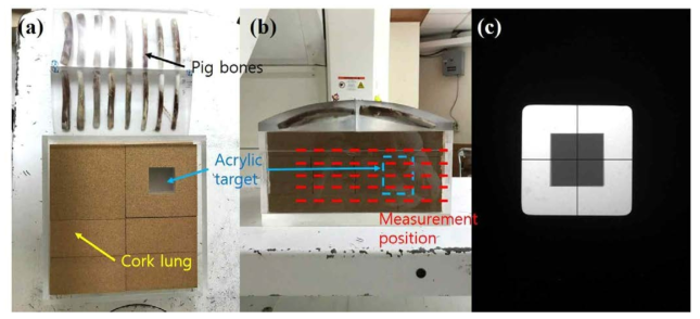 폐 팬텀의 정면(a) 및 측면(b)과 isocenter의 정확도 확인을 위한 X선 영상(c).