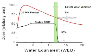 물 깊이에 따른 X-선 빔과 치료용 양성자 빔의 선량분포 및 1 cm 깊이 오차에 대한 X-선 및 양성자 빔의 선량 변화.