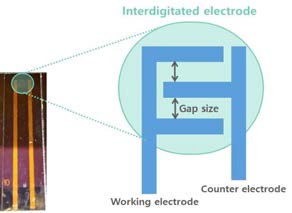Interdigitate pattern을 가지고 있는 전기신호 측정용 전극 제작