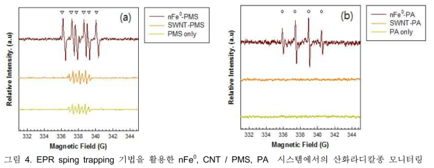 영가철과 탄소나노튜브의 PMS 활성화 시스템의 반복 사용 비교