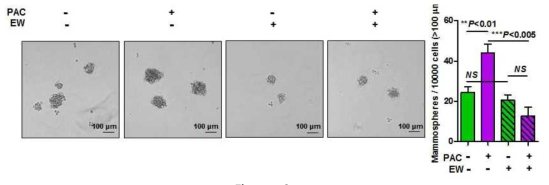 Effect of EW-7197 on sphere forming efficiency.