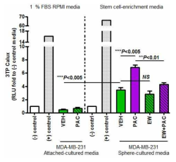 Anticancer drug treatment effect on change of the TGF-β signaling.