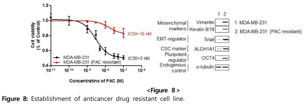 Establishment of anticancer drug resistant cell line.