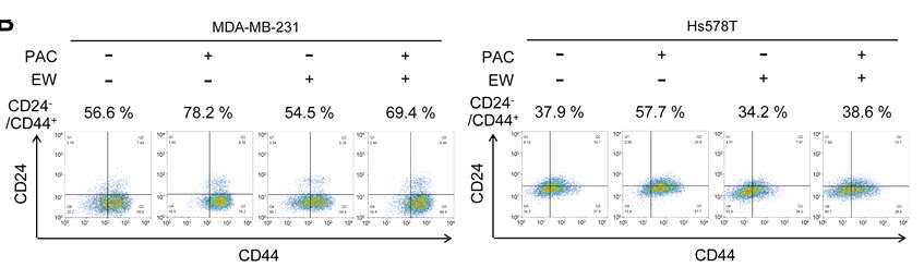 2D-plots of FACS for analyzing CD24 and CD44 in MDA-MB-231 or Hs578T cells after 24-hour-treatmnet of paclitaxel (3 nM) with or without EW-7197 (100 nM).