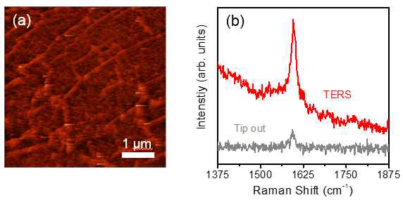 (a) 그래핀에 대한 STM 이미지, (b) 일반 스펙트럼과 그래핀 표면에 탐침이 근접했을 때의 TERS 스펙트럼의 차이