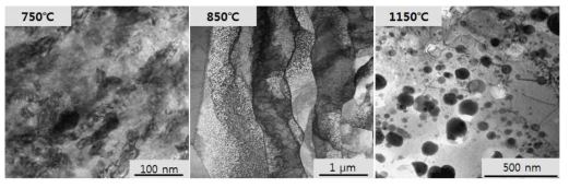 기계적 합금화로 제조된 Fe-5Y2O3 분말의 열간가공 온도에 따른 미세조직 변화.