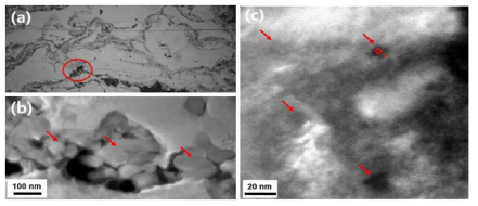 Oxide particles distribution in HVOF sprayed ODS steels.