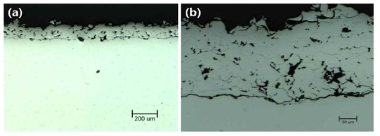 Cold spray processed ODS layer.