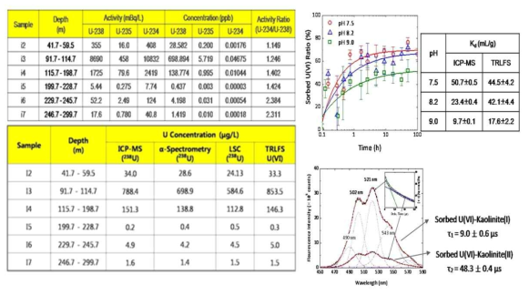 (좌) KURT 지하수에 대한 alpha-spectrometry 분석 결과(위)와 우라늄 동위원소 분석결과의 비교검증 결과(아래); (우) Kaolinite에 대한 우라늄 흡착 거동(위) 및 TRLFS를 이용한 Kaolinite에 대한 흡착된 U(VI) 분석 결과(아래)