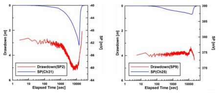 SP2공과 SP9공에서 관찰된 수리 반응과 SP변화