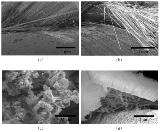 Fracture surface of the corroded SiC composite tubes showing (a) low magnification and (b) high magnification microstructure of the intermediate SiCf/SiC composite layer, and abnormal fiber pull-out of (c) the CVI triplex and (b) the CVD triplex specimens.