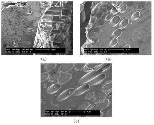 Fiber pull-out behavior of thermal shocked triplex SiC composite tubes during hoop test: (a) Tyranno without PyC, (b) Tyranno with PyC, and (c) Cef-NITE with PyC.