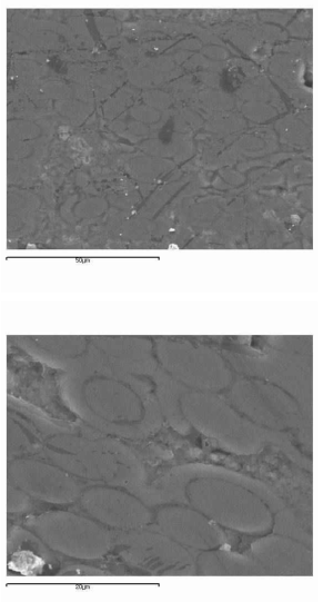 Cross-sectional SEM images of the SiC triplex tube after high temperature steam oxidation test at 1400˚C.