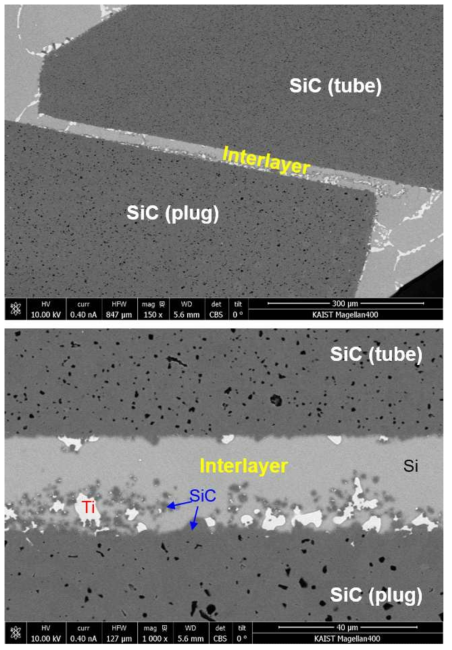 Interfacial microstructures of SiC tube/plug joints.