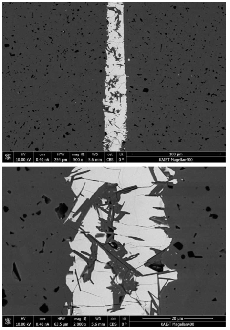 Interfacial microstructures of SiC tube/plug joints using CrAl/Si interlayer.