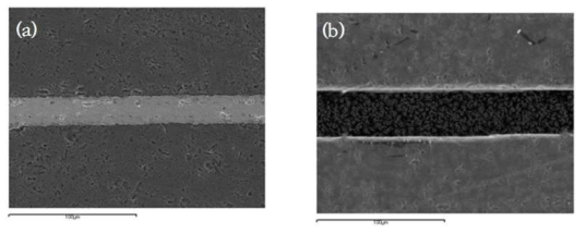 Microstructures of SiC/Mo/SiC joint interface (a) before and (b) after a corrosion test.