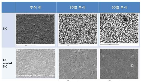 Evolution of microstructures of SiC with and without over-coating during a corrosion test.