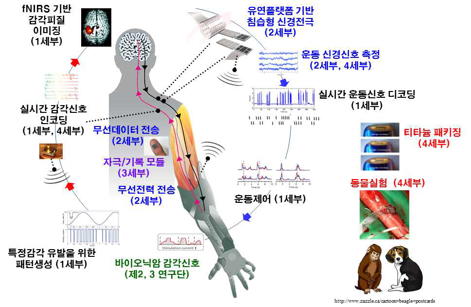 연구단의 연구개발 개요도.