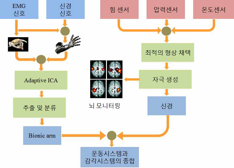 본 연구팀의 이론적 접근방법