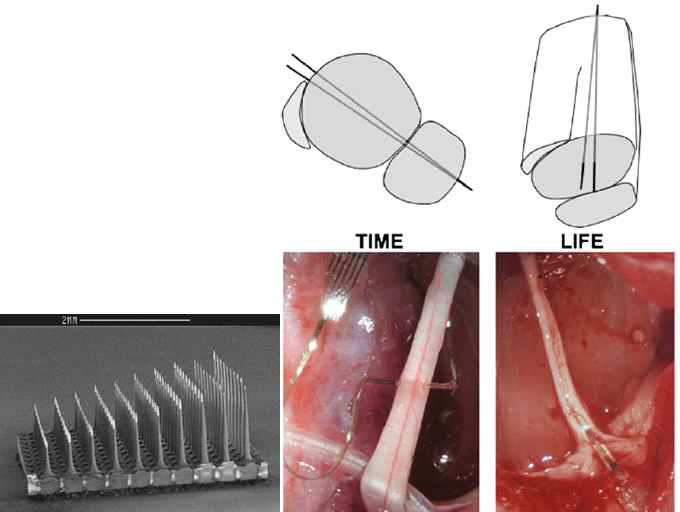 왼쪽: USEA, 가운데: TIME, 오른쪽: LIFE