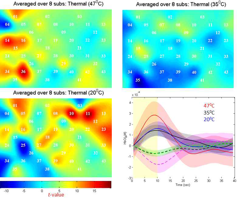 온도 자극에 대한 활성화된 혈류역학반응 데이터 (8번 피험자의 데이터를 평균)