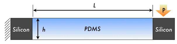 PDMS의 유연성을 확인하기 위한 도식화 그림