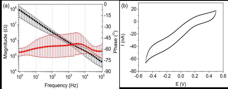 제작된 전극 (vl-FPMA)의 전기화학적 특성 평가 (a) Electrochemical impedance spectroscopy(EIS) 결과 그래프 (b) Cyclic voltammetry (CV) 결과 그래프