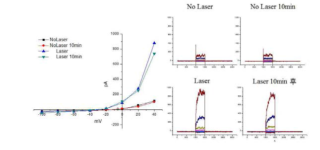 Merkel 세포주에서 시간이 지나서 자발 적으로 생긴 전류가 아닌, laser 자극-specific한 전류임을 규명함