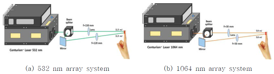 Array system (2분기) 실험 모식도