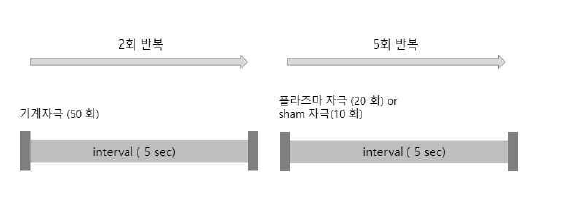 실험 패러다임