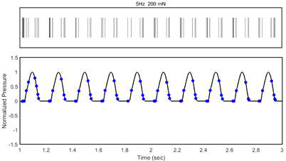5 Hz 200 mN 자극에 대한 FA 발화패턴.