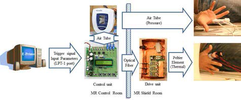MR-compatible 압감/온감 자극 시스템