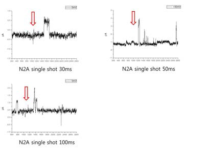 N2A cell 에서의 Laser single shot 자극에 의한 이온 통로 반응