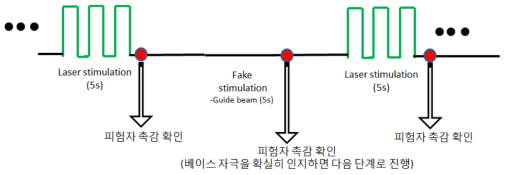 실험 진행방법