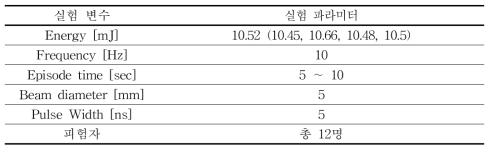 피험자 실험에 사용된 파라미터