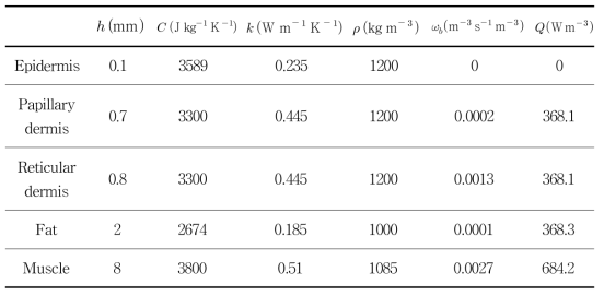 인간의 피부 층에 따른 열전달계수