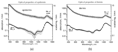 (a) 표피, (b) 진피에 대한 파장별 흡수계수 및 환원산란계수