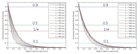 피부 조직 깊이 방향으로의 상대 흡수 파워 분포