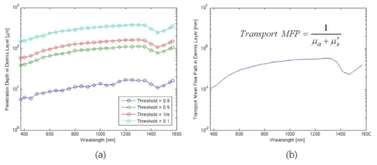(a) 레이저 파장에 따른 침투 깊이의 변화(로그 스케일), (b) 레이저 파장에 따른 이송평균자유행로