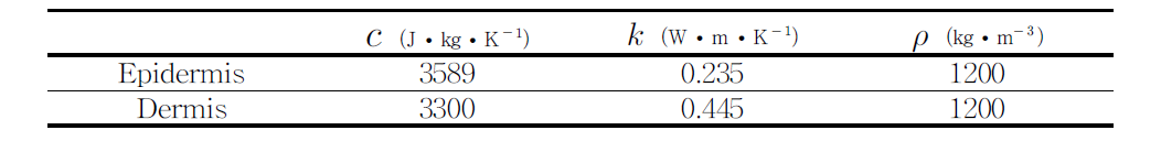 ANSYS CFDⓇ 피부 모델링에 적용한 열 특성