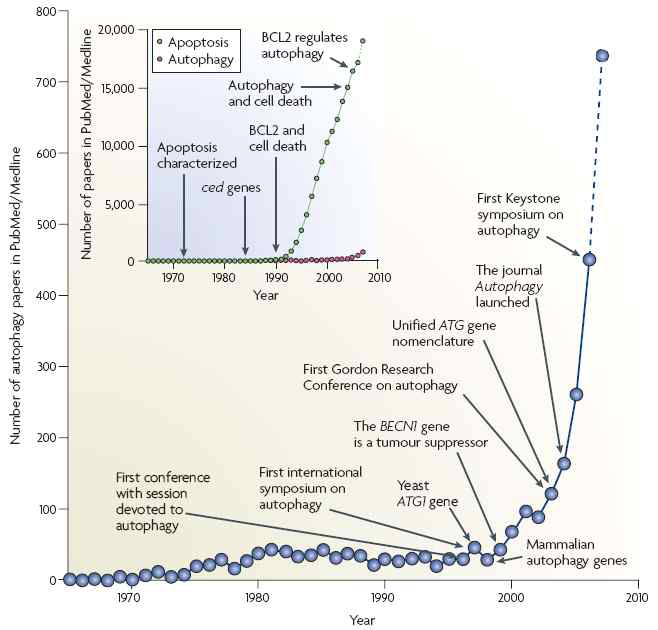Autophagy 관련 연구논문의 기하급수적 증가 양상