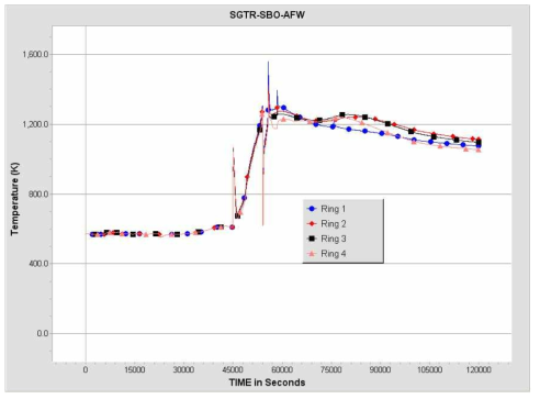 SGTR-SBO-AFW 사고경위에서 RPV 외벽온도변화