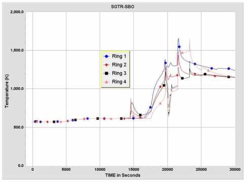 SGTR-SBO 사고경위에서 RPV 외벽온도변화