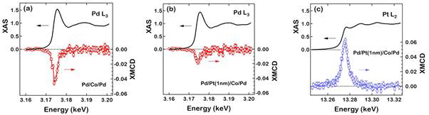 Pd/Co/Pd구조와 Pd/Co/Pt/Pd 구조에서의 X-ray Absorption Spectroscopy (XAS)와 X-ray Magnetic Circular Dichroism (XMCD) 측정 결과.