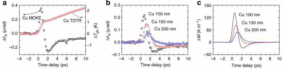 (a) Pt(30nm)/FM1(3nm)/Cu(100nm) 구조에서 Cu 층의 온도 (TDTR) 및 스 핀 (MOKE)의 시간에 따른 변화. 온도는 1 ps 동안에 빠르게 상승한 후 천천히 상승한 다. 스핀은 0.5 ps에 +스핀이 최대가 된 후, 2 ps에 –스핀이 최대가 된 후, 천천히 0으로 수렴한다. (b) Cu 두께에 따른 스핀의 변화 실험. 스핀의 양은 Cu 두께에 반비례하는 양 상이고 스핀이 최대가 되는 시간은 Cu 두께에 비례하여 증가한다. (c) Cu 두께에 따른 스핀의 변화 계산