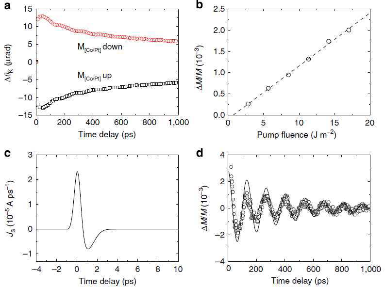 Pt(30nm)/FM1(3nm)/Cu(10nm)/FM2(2nm) 구조에서 FM2 자화의 동 역학.