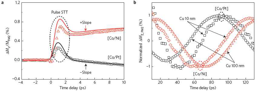 (a) 탈자화에 의한 스핀전달토크와 스핀의존제백 효과에 의한 스핀전달토크의 구 분. 탈자화에 의한 스핀전달토크는 1 ps의 빠른 동역학에 해당한다. 스핀의존제백 효과의 의 한 스핀전달토크는 시간에 따라 비교적 천천히 변하게 하는 기울기에 해당한다. (b) 스핀의 존제백 효과에 의한 FM2 동역학의 phase delay 변화.